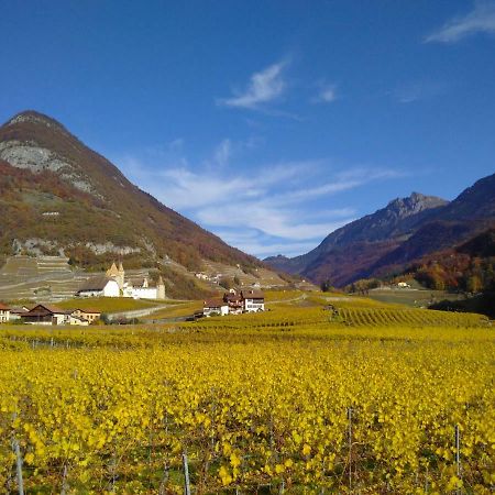 Element-Terre Hotel Aigle Exterior photo